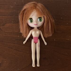 Littlest Pet Shop Blythe Doll Red Hair Green Eyes Hasbro 2010